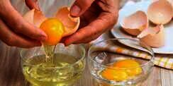 Jangan Musuhi Kuning Telur Demi Asupan Protein Optimal