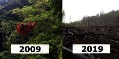 Andai Alam Mengikuti #10YearChallenge, Hasilnya Menyedihkan