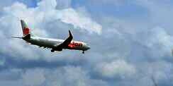 Viral Penumpang Balita Disuruh Bawa Bagasi Sendiri, Ini Kata Lion Air