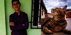 Kisah Tulus Pemuda Rawat Kucing Liar Sampai Akhir Hayat