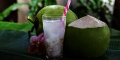 Menu Buka Puasa Menyegarkan Teh Susu Kelapa Muda, Yuk Bikin!