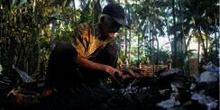 Sedihnya Kakek Ini, Rumahnya Terbakar Bareng Tabungan Umroh