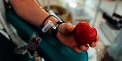 6 Manfaat Donor Darah Bagi Kesehatan Fisik dan Mental