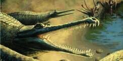 Fosil Ditemukan 250 Tahun Silam, `Nenek Moyang` Buaya Terungkap