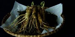 Asal Mula Ginseng, Berawal dari Obat Misterius