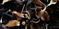 10 Manfaat Jamur Kuping untuk Kesehatan, Bisa Turunkan Kolesterol