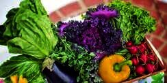 15 Nama Sayuran Tak Populer tapi Kaya Manfaat Buat Kesehatan
