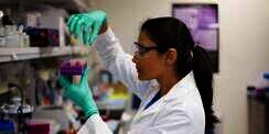Ilmuwan China Gabungkan DNA Babi dan Monyet, Begini Anaknya
