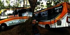 Insiden Bus Tersesat di Hutan Kembali Terjadi di Jawa Tengah, Ini Penyebabnya