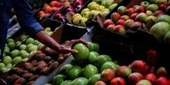 Sayur dan Buah yang Tahan 1 Bulan Selama Social Distancing