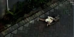 Hati-Hati Jaga Anak Saat Tonton Topeng Monyet, Bisa-Bisa Seperti Ini