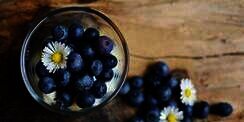 5 Manfaat Blueberry Bagi Kesehatan yang Tak Banyak Diketahui Orang