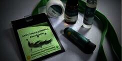 Sedang Jadi Perdebatan, Ini Beda Eucalyptus dan Kayu Putih