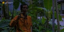 Kisah Mbah Lasiyo, Pengusaha Pisang yang Sukses Karena Bisnis Pakai 'TUYUL'