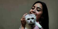 Deretan Kucing Milik Seleb yang Bikin Gemas