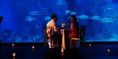 Potret Sensasi Makan Malam Romantis di Bawah Laut, Seru!