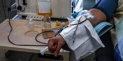 Pengalaman Menko Airlangga Donor Plasma Konvalense: `Saya Kok Jadi Agak Segar`