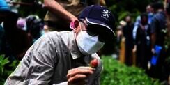 Gubernur Sulsel Nurdin Abdullah Tersangka Suap, Ini Kata Istana