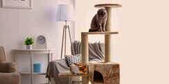 Beragam DIY Cat Tree yang Bakal Bikin Kucing Kesayangan Happy