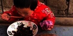 Jago Banget, Bocah 8 Tahun Bikin Roti Layaknya Chef 