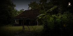 Menelisik Kampung Mati di Ponorogo, Sunyi Sepi Tak Berpenghuni Ada Kuburan Tua
