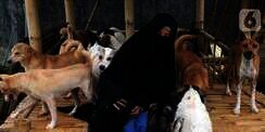 Muhammadiyah Soal Muslimah yang Dipersekusi Gegara Rawat Anjing