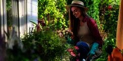 5 Tips Berkebun Buat Pemula