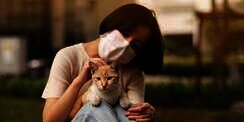 Solusi Tepat Atasi Kulit Kucing Bersisik, Gara-Gara Udara Indoor yang Kering