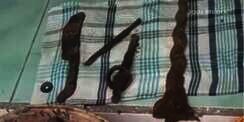 Gali Pondasi Rumah, Warga Jombang Temukan Harta Karun dan Keris Majapahit