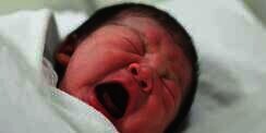 Saat Bayi Lahir ke Dunia Sudah Didampingi Jin dan Malaikat