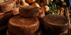 Casu Marzu, Keju Penuh Belatung Paling Berbahaya di Dunia