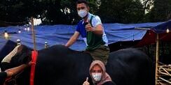 Raffi Ahmad Borong 10 Sapi Kurban Berukuran Jumbo, Belinya Enggak Pakai Mikir