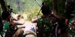 Tanpa Meleset! Begini Momen Sniper TNI Tembak KKB Papua