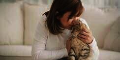 5 Tips dan Trik Mendekatkan Diri dengan Kucing