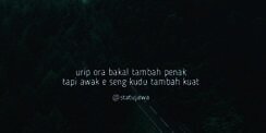 90 Kata-Kata Sindiran Bahasa Jawa, Wakili Perasaan Banget