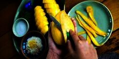 5 Olahan Mangga yang Sehat dan Lezat, Pastinya Bikin Ketagihan!