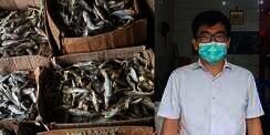Omzet Ratusan Juta Sebulan, Penjual Ikan Asin Berbagi Rahasia Bisnisnya