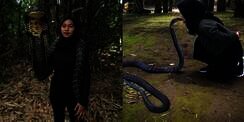 Ingat Gadis Bandung Pamer Dicium King Kobra 4 Meter? Nasibnya