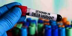 Peneliti Eijkman: Jika PCR Sekarang Positif Covid-19, Hampir Pasti Varian Delta