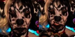 Riasan Tingkat Dewa Ubah Wajah Mirip Anjing Dalmation: 'Kalau Gak Melek Gak Lihat Matanya'