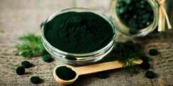 Spirulina, Bubuk Hijau yang Sering Disebut 'Superfood'