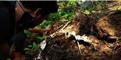 Bikin Heboh, Panji Petualang Bongkar Sarang Ular Bertaring Panjang, Endingnya&hellip;