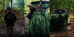 Bukan untuk Ngojek atau ke Kantor, Honda Brio Malah Dipakai Buat Cari Rumput