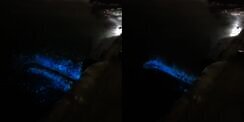 Penjelasan Ilmiah Video Viral Air Laut Menyala Biru Saat Dilempar Sesuatu