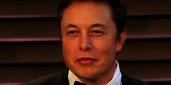Netizen Ketiban Durian Runtuh, Memenya Laku Rp281 Juta Usai Diunggah Elon Musk