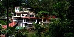 7 Potret Mengenaskan Hotel Bak Istana Seluas 15 Hektare Terbengkalai di Tengah Hutan