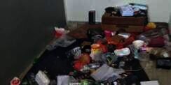 Bikin Geregetan, Penyewa Tinggalkan Rumah Kontrakan Penuh Bangkai Kucing
