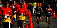 Satgas Covid-19: Borobudur Marathon Akan Digelar dengan Sistem Prokes Bubble to Bubble