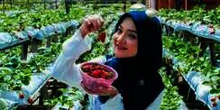 Bahagia Lihat Bakal Buah di Pohon, Baca Doa Ini