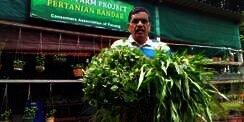 Harga Melambung Tinggi, Pria Ini Ajak Tanam Sayur Sendiri